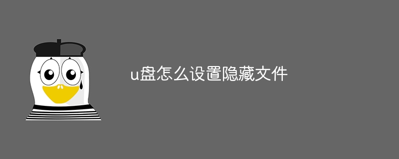 u盘怎么设置隐藏文件