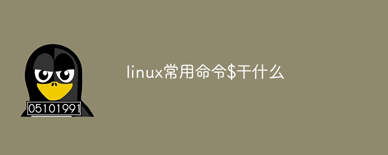 linux常用命令$干什么