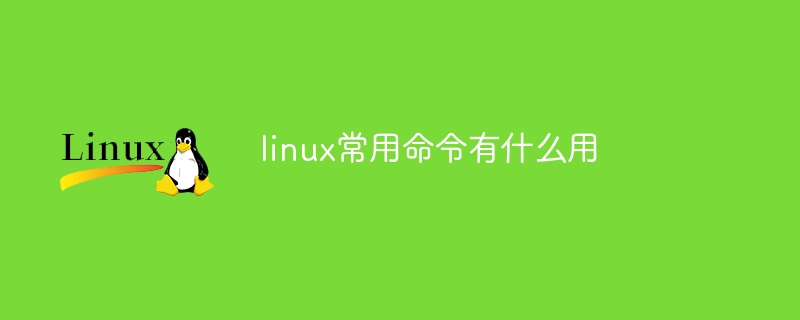 linux常用命令有什么用