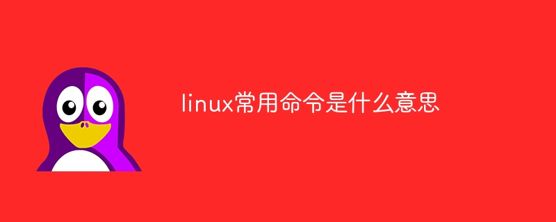 linux常用命令是什么意思