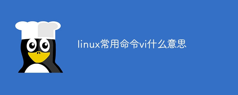 linux常用命令vi什么意思