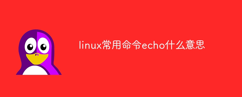 linux常用命令echo什么意思