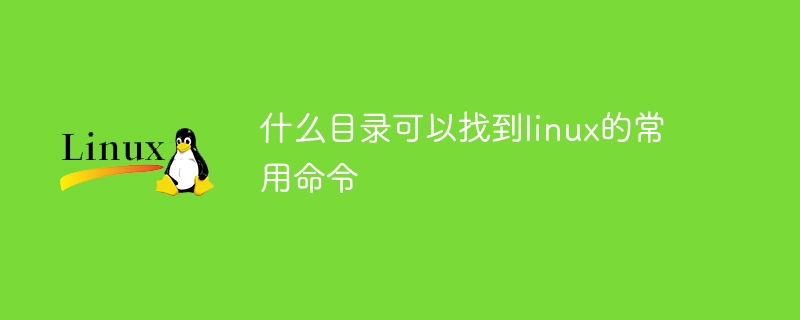 什么目录可以找到linux的常用命令