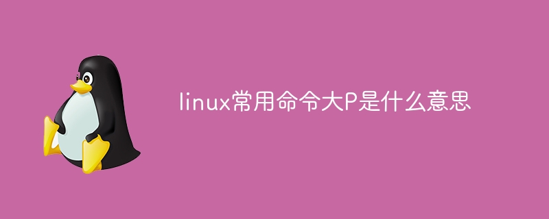 linux常用命令大P是什么意思