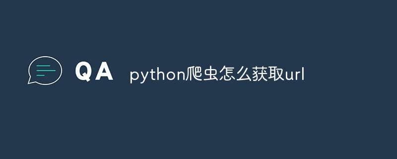 python爬虫怎么获取url