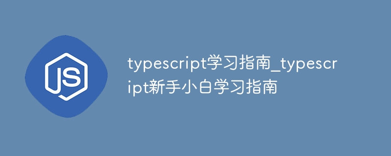 typescript学习指南_typescript新手小白学习指南