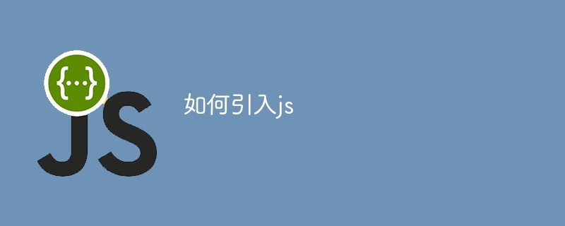 如何引入js