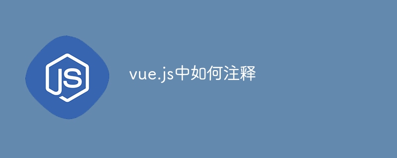 vue.js中如何注释