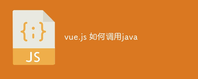 vue.js 如何调用java