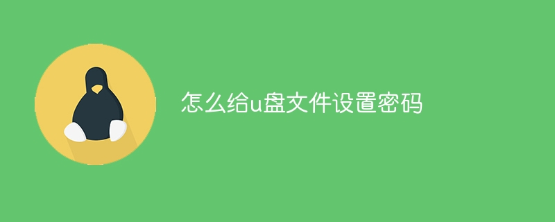 怎么给u盘文件设置密码