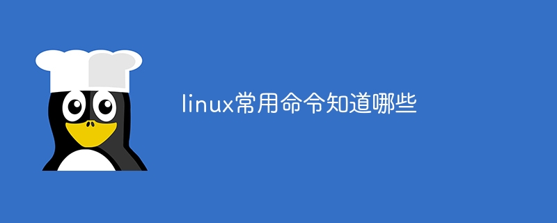 linux常用命令知道哪些