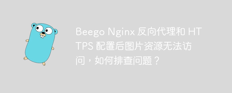 Beego Nginx 反向代理和 HTTPS 配置后图片资源无法访问，如何排查问题？