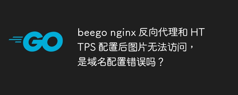 beego nginx 反向代理和 HTTPS 配置后图片无法访问，是域名配置错误吗？