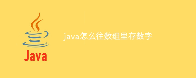 java怎么往数组里存数字