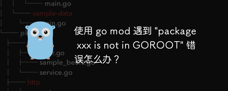 使用 go mod 遇到 "package xxx is not in GOROOT" 错误怎么办？