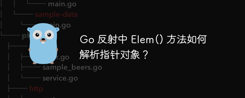 Go 反射中 Elem() 方法如何解析指针对象？