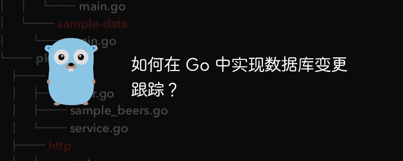 如何在 Go 中实现数据库变更跟踪？