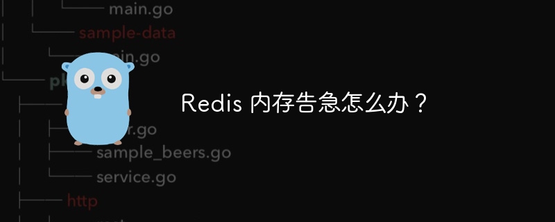 Redis 内存告急怎么办？