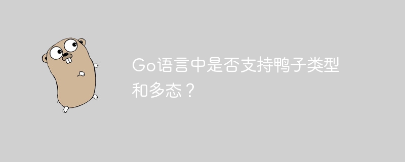 Go语言中是否支持鸭子类型和多态？