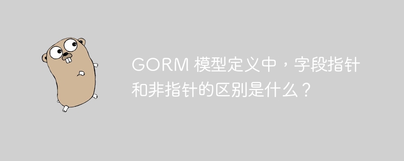 GORM 模型定义中，字段指针和非指针的区别是什么？