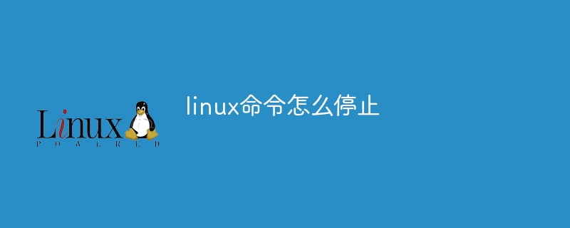 linux命令怎么停止