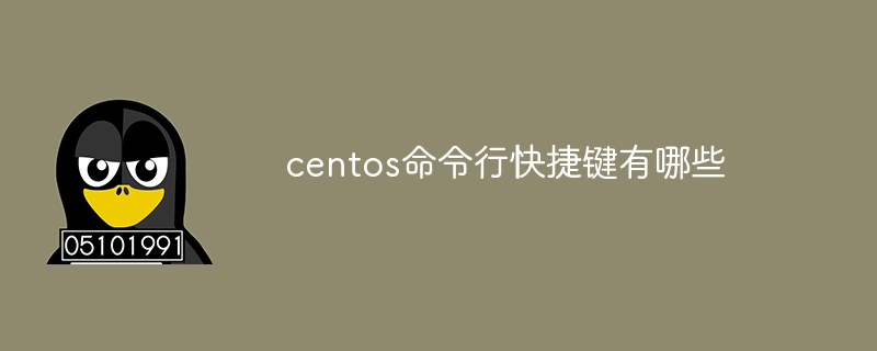 centos命令行快捷键有哪些