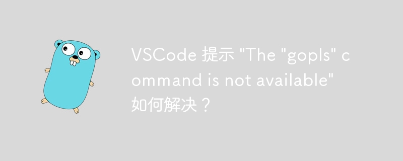 VSCode 提示 "The "gopls" command is not available" 如何解决？