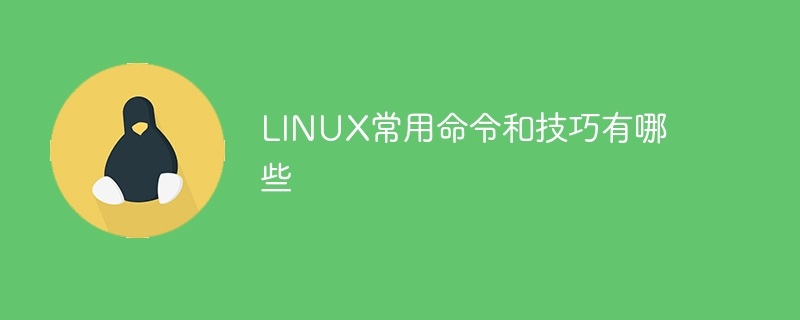 LINUX常用命令和技巧有哪些