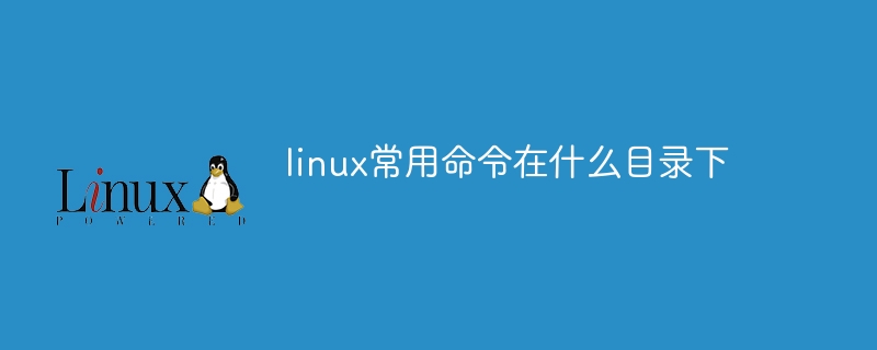 linux常用命令在什么目录下