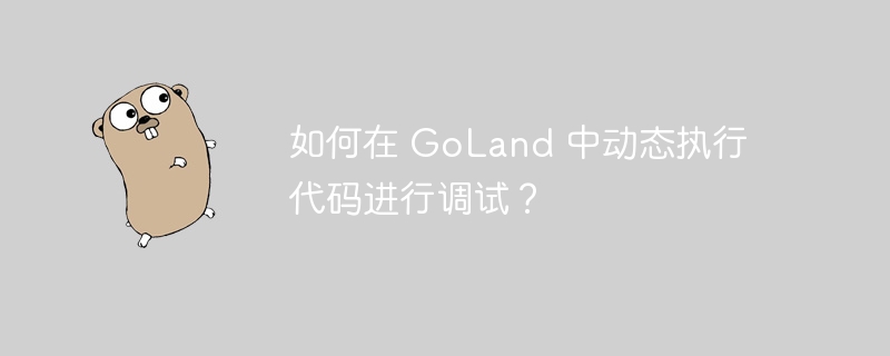 如何在 GoLand 中动态执行代码进行调试？