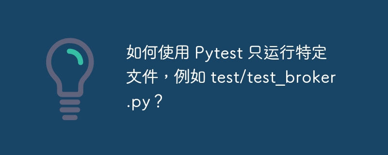 如何使用 Pytest 只运行特定文件，例如 test/test_broker.py？