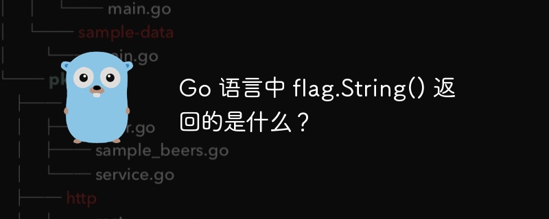 Go 语言中 flag.String() 返回的是什么？