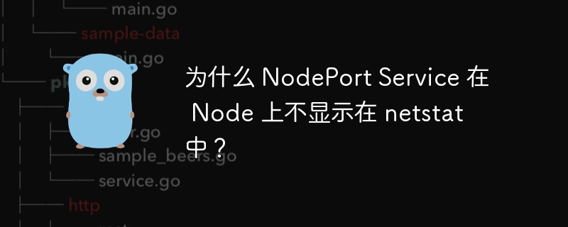 为什么 NodePort Service 在 Node 上不显示在 netstat 中？