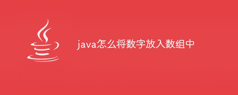 java怎么将数字放入数组中