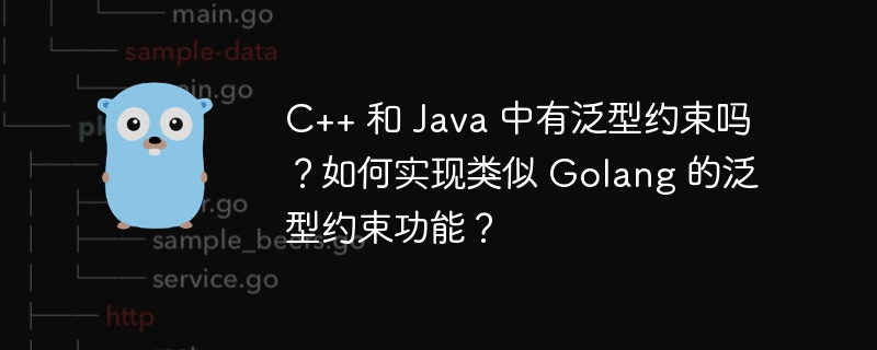 C++ 和 Java 中有泛型约束吗？如何实现类似 Golang 的泛型约束功能？