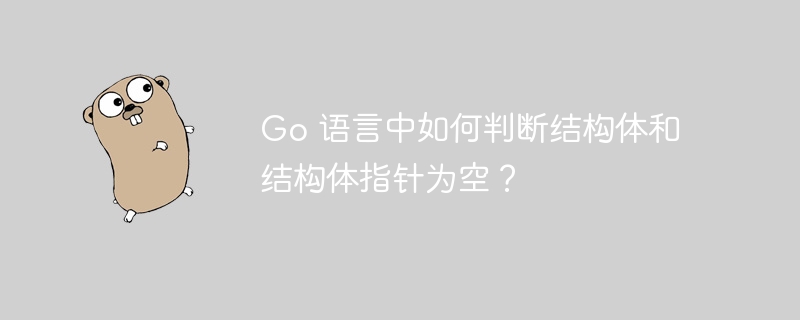 Go 语言中如何判断结构体和结构体指针为空？