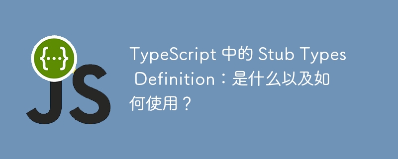 TypeScript 中的 Stub Types Definition：是什么以及如何使用？