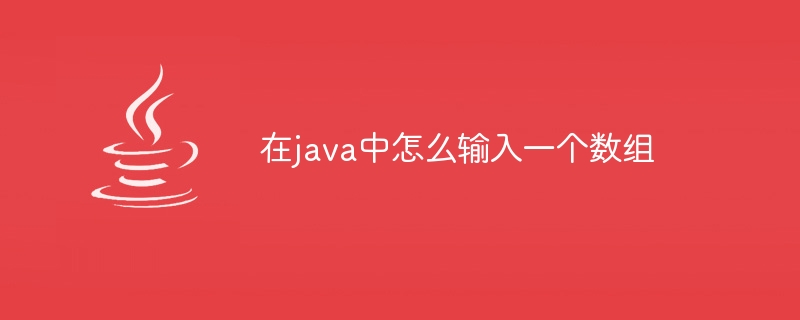 在java中怎么输入一个数组