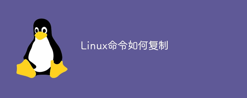 Linux命令如何复制