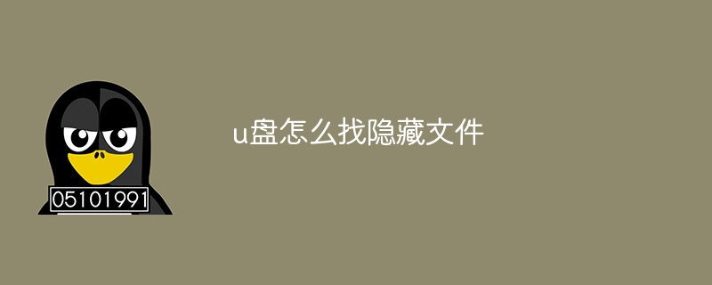 u盘怎么找隐藏文件