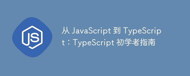 从 JavaScript 到 TypeScript：TypeScript 初学者指南