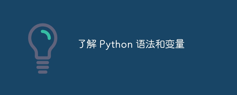 了解 Python 语法和变量