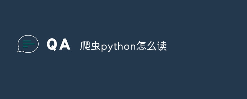 爬虫python怎么读