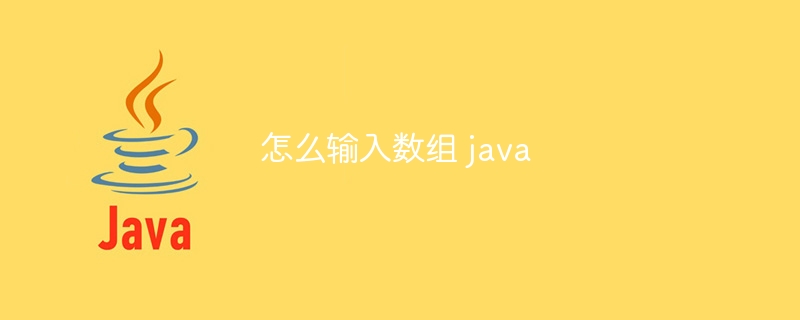 怎么输入数组 java