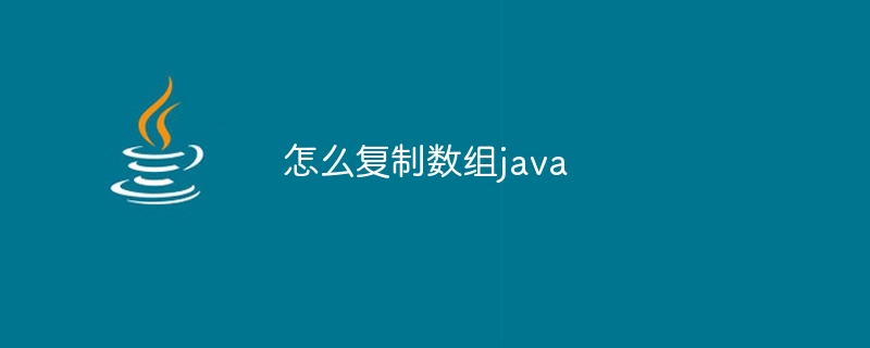 怎么复制数组java