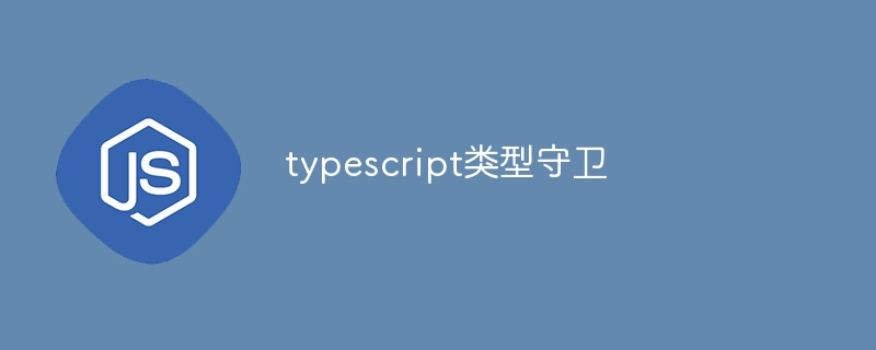 typescript类型守卫