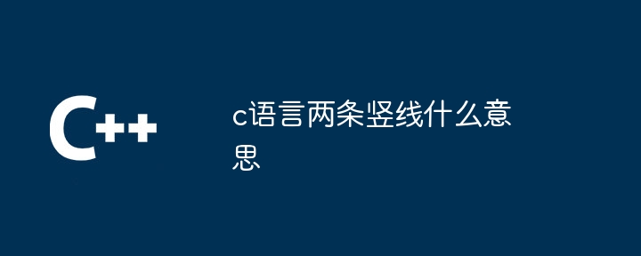 c语言两条竖线什么意思