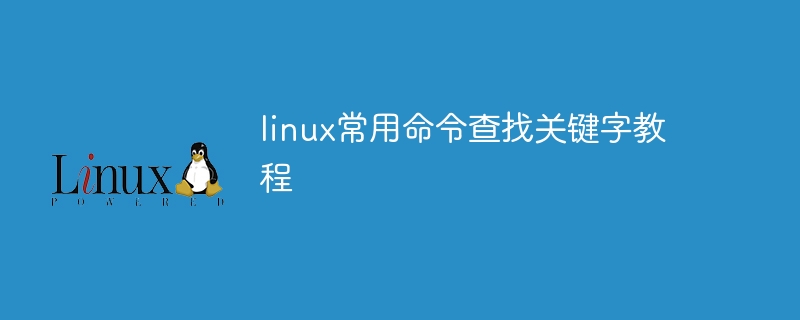 linux常用命令查找关键字教程