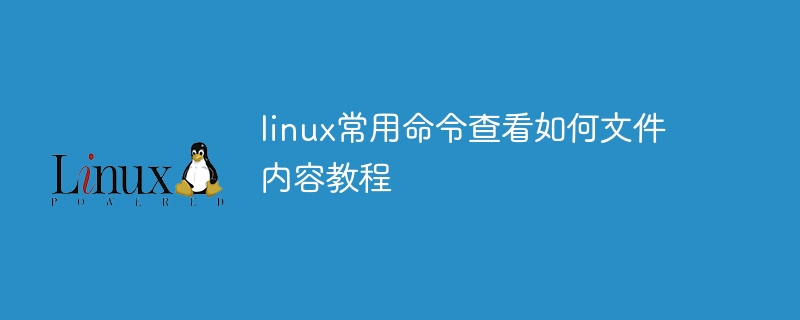 linux常用命令查看如何文件内容教程