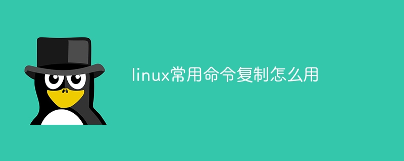 linux常用命令复制怎么用